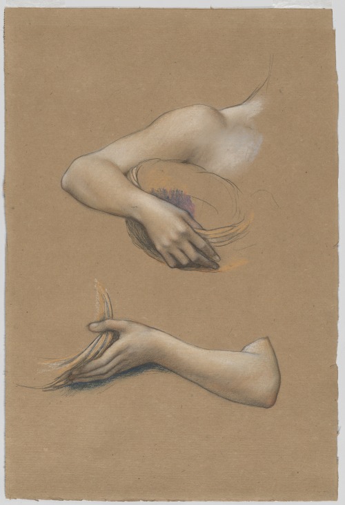Study of Arms for 